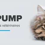 Pompe à infusion conçue pour les vétérinaires
