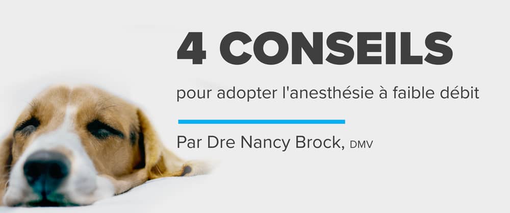 4 conseils pour adopter l'anesthésie à faible débit