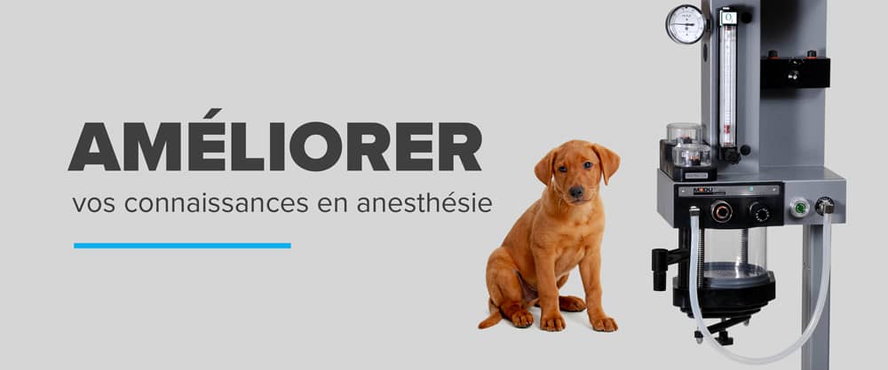 Comment améliorer vos connaissances en anesthésie