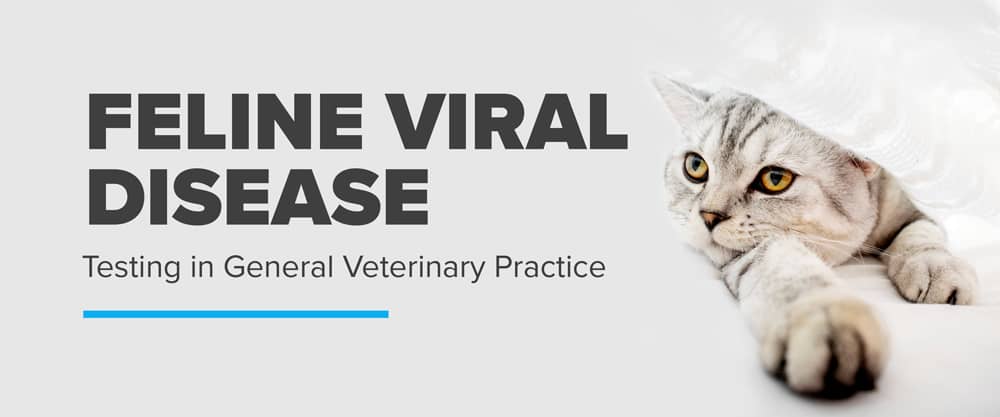 Feline Viral Disease Testing