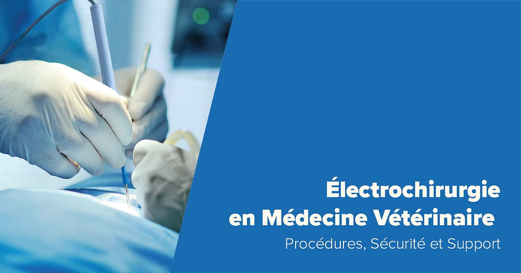 Électrochirurgie en Médecine Vétérinaire : Procédures, Sécurité et Support