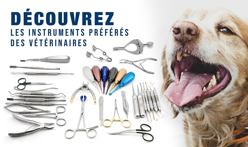 Instruments de dentisterie vétérinaire - Guide d'achat 2021