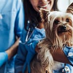 OSHA Compliance Checklist