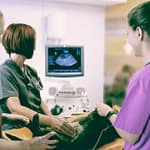 Career Spotlight: Veterinary Diagnostic Imaging Specialist