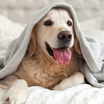 How to reduce hypothermia risks when performing a surgery under anesthesia?