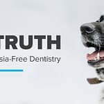 Talking to Clients About Anesthesia-Free Dentistry