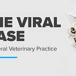 Feline Viral Disease Testing