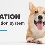 How to choose your evacuation system
