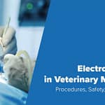 Electrosurgery in Veterinary Medicine: Procedures, Safety, and Support