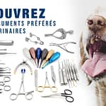 Instruments de dentisterie vétérinaire - Guide d'achat 2021