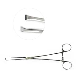 Allis Tissue Forceps 7 1/2", 5x6 teeth