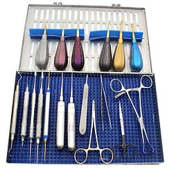 GV Dental Kit with Luxating Winged Titanium and Sterilization Cassette