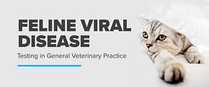 Feline Viral Disease Testing