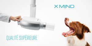 XMind radiographie dentaire