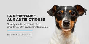 La résistance aux antibiotiques : Stratégies de communication pour les professionnels vétérinaires