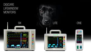 Accessory care for LifeWindow 9X, Lite and One