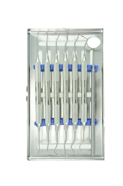 Veterinary Dental Set