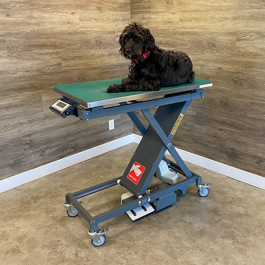 Vet-Table Scissor Veterinary Table with Built-In Scale