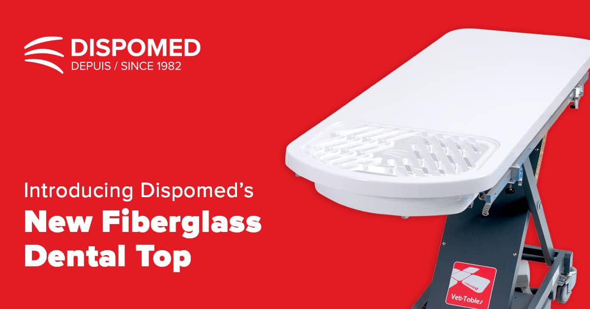 Introducing Dispomed’s New Fiberglass Dental Best