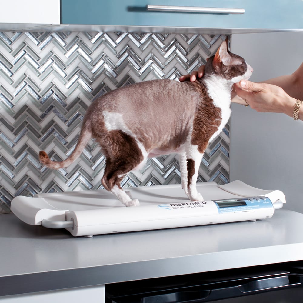 Dispomed VET 20 Cat Scale
