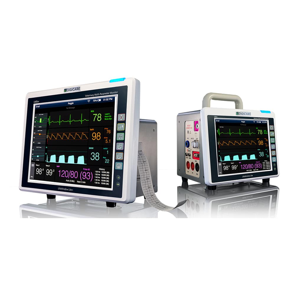 LifeWindow Lite Series