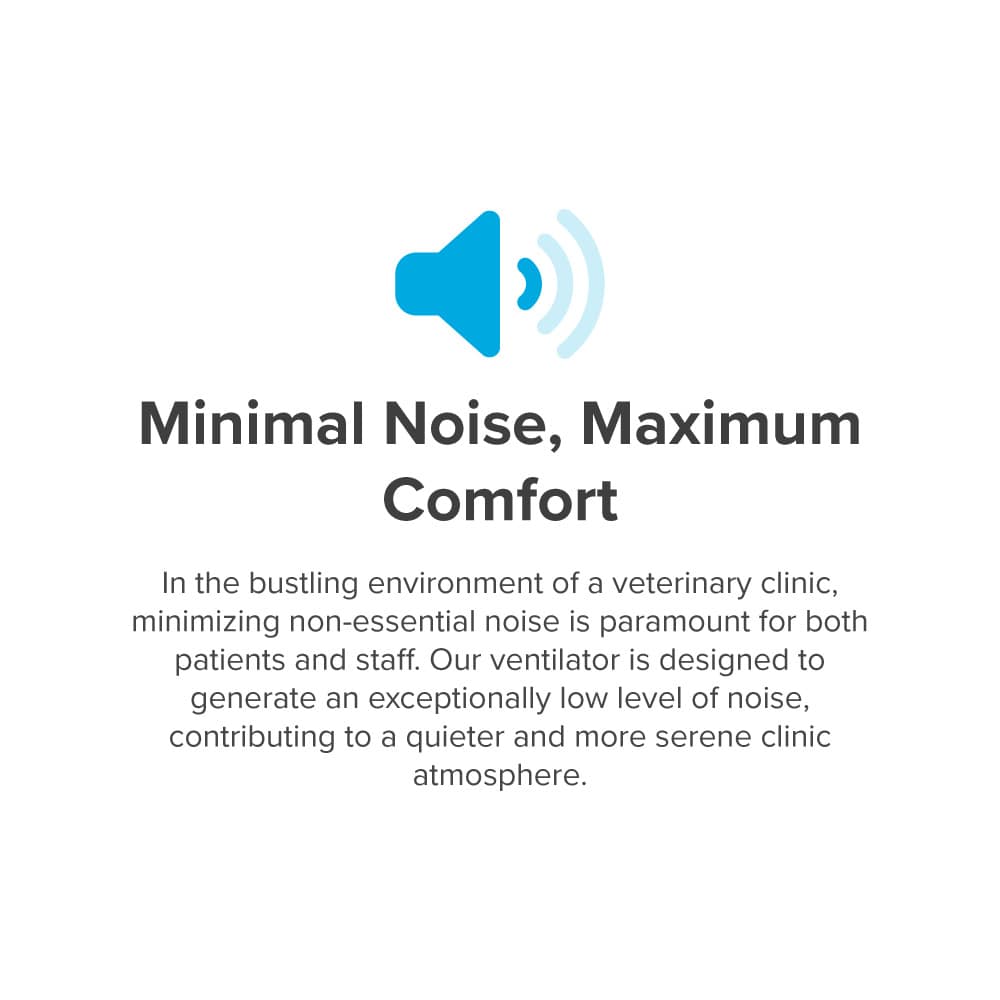 Minimal Noise, Maximum Comfort - insPurr
