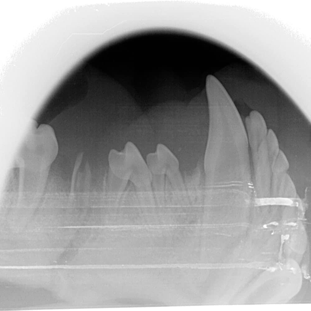 X-Ray Imaging