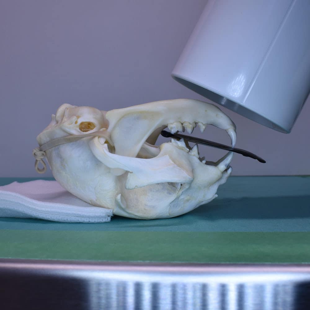 X-Ray Imaging