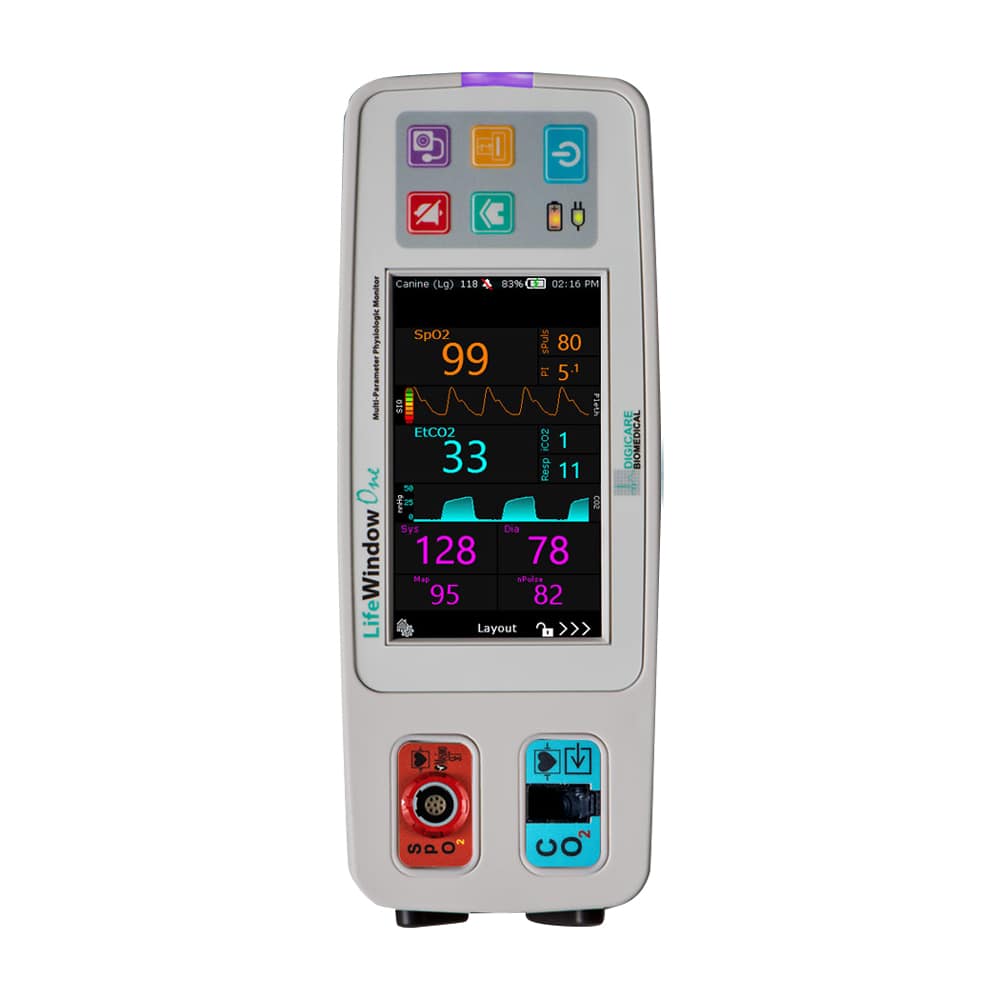 LifeWindow One monitor