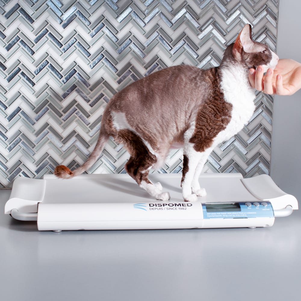 Balance Dispomed Vet 20