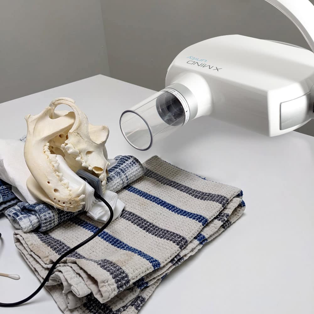 Horizontal Generator X-Ray