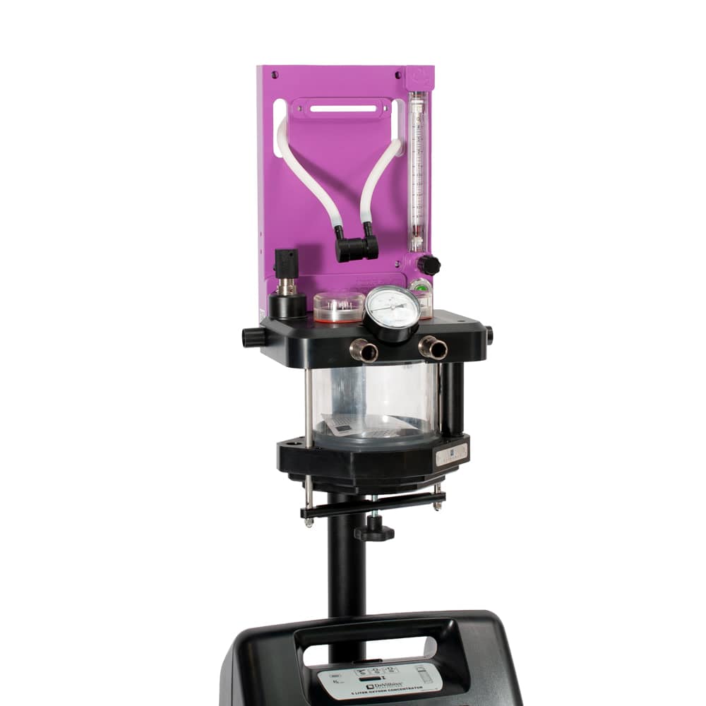 Access2 with Flatbase Purple