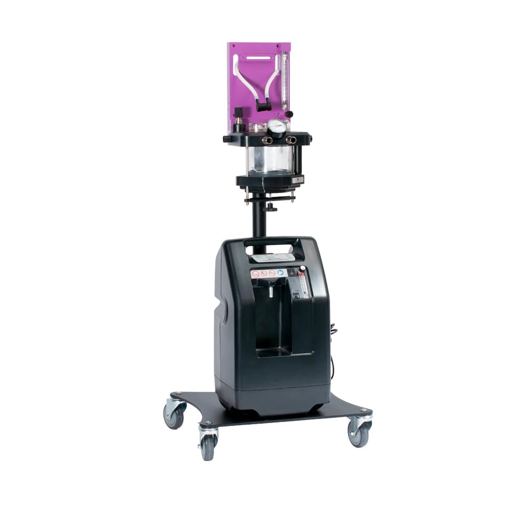 Access2 with Flatbase Purple