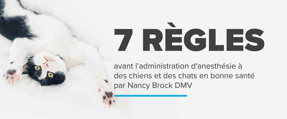 Les 7 étapes d’une analyse de cas en anesthésie par Dr Nancy Brock, DMV