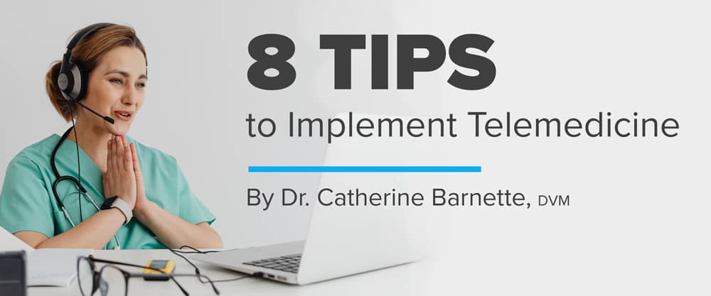 8 Tips to Implement Telemedicine in Your Veterinary Practice
