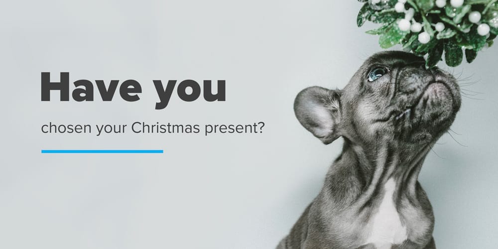 Have you chosen your Christmas present?