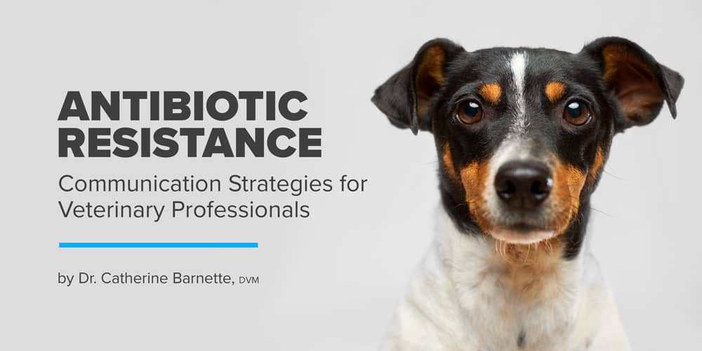 Antibiotic Resistance: Communication Strategies for Veterinary  Professionals - Dispomed