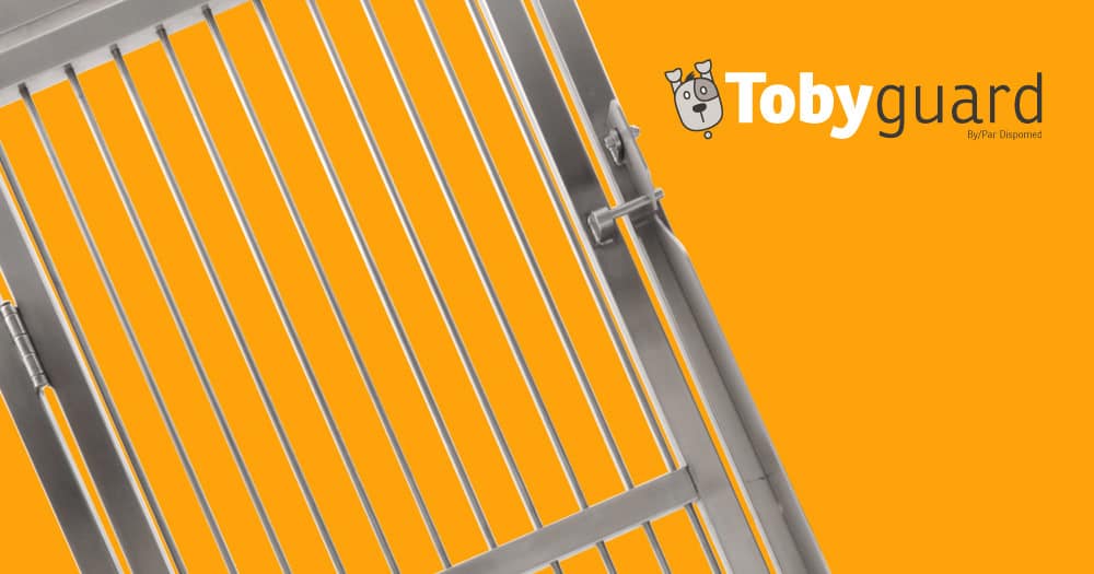 Refreshing your Dog Ward