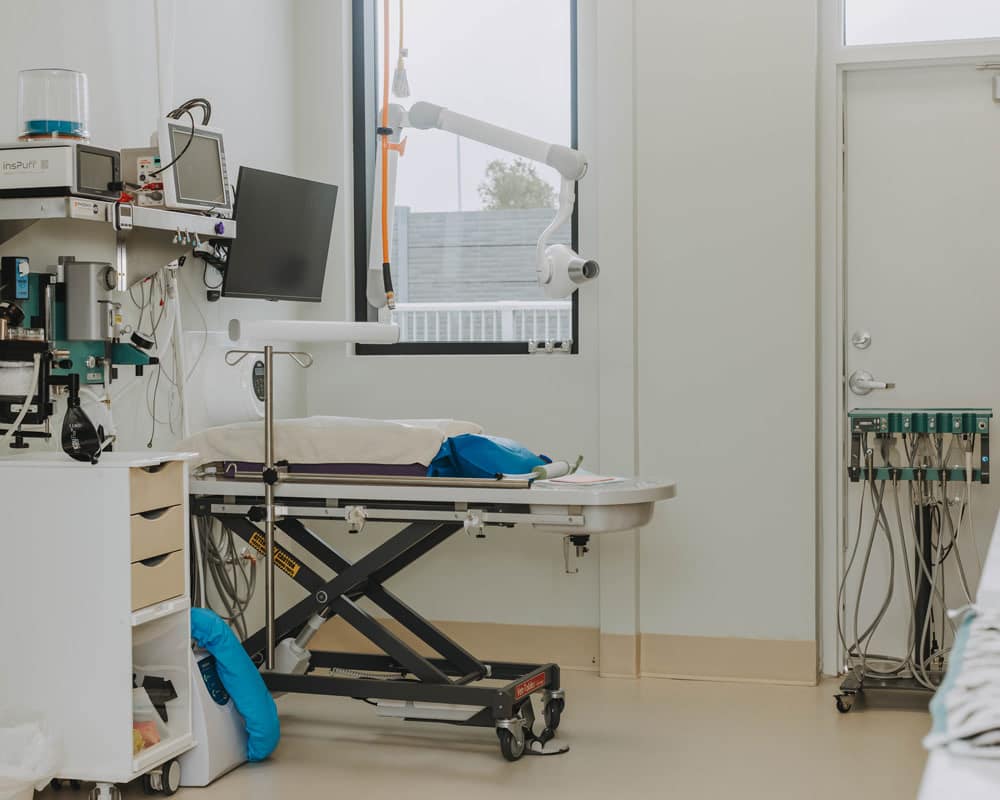 Dispomed Equipment in Veterinary Clinic