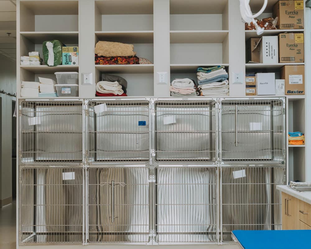 Dispomed Equipment in Veterinary Clinic