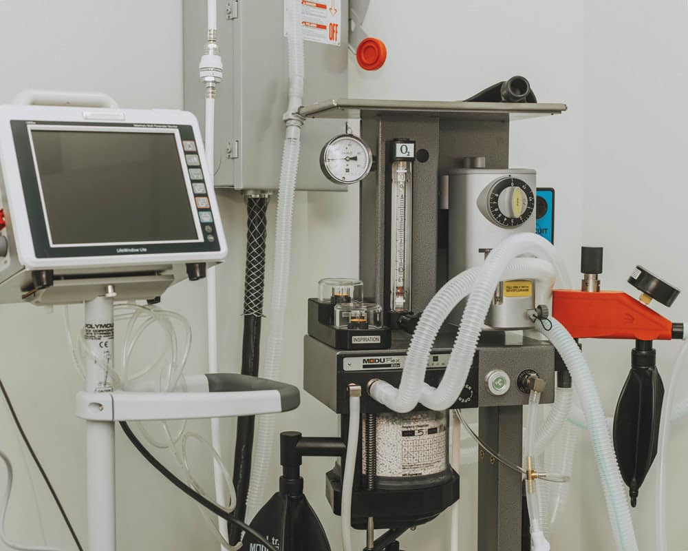 Dispomed Equipment in Veterinary Clinic
