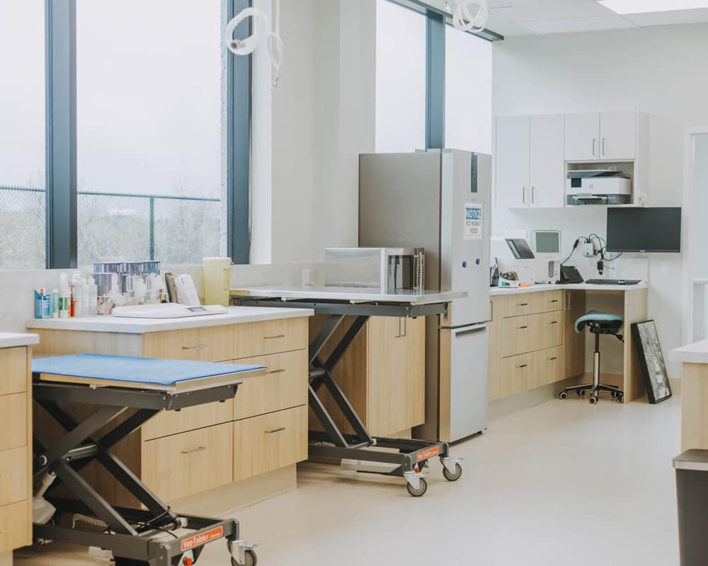 Dispomed Equipment in Veterinary Clinic