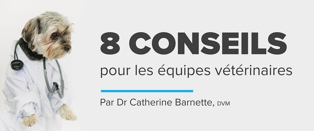 Interactions difficiles avec les clients : 8 conseils pour les équipes vétérinaires