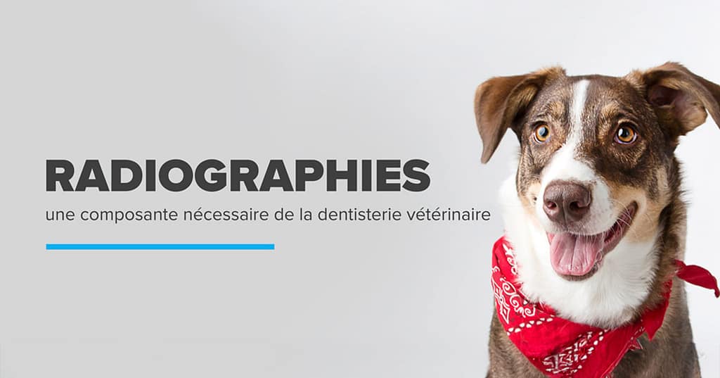 Radiographies Dentaire