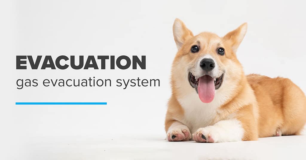 Evacuation System