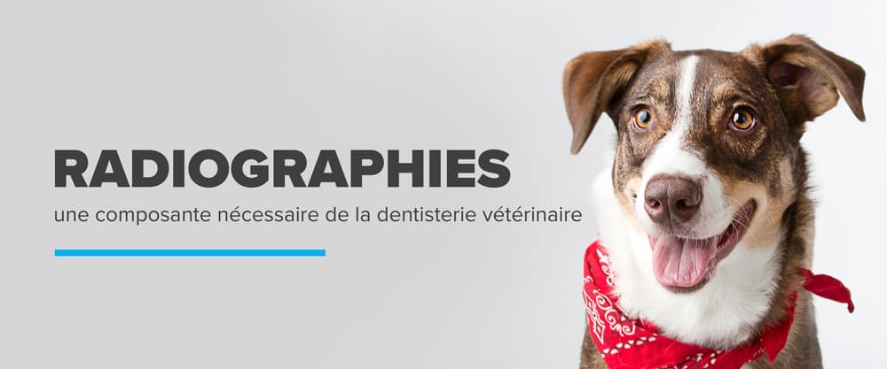 Radiographies Dentaire