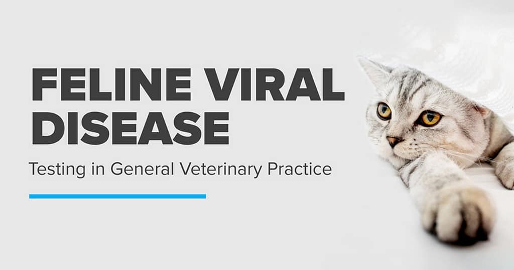 Feline Viral Disease