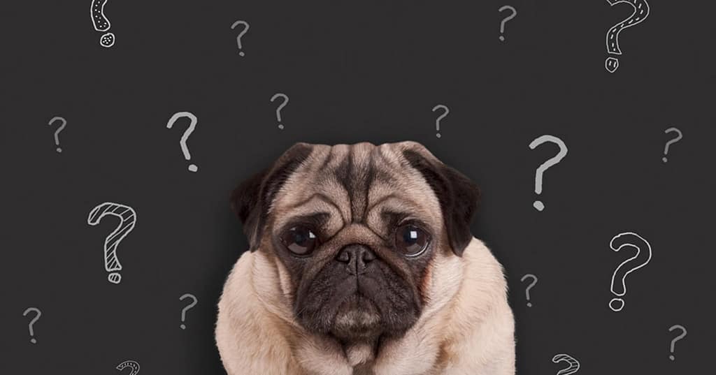 6 choses a demander a votre compagnie entretien preventif sur votre appareil anesthesie