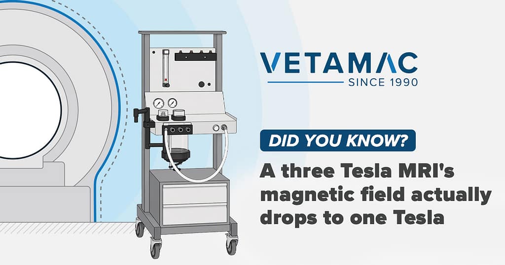 Did you know? MRI Field
