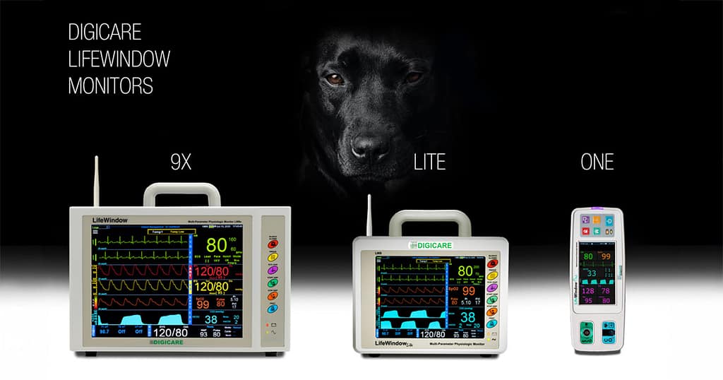 LifeWindow Monitors